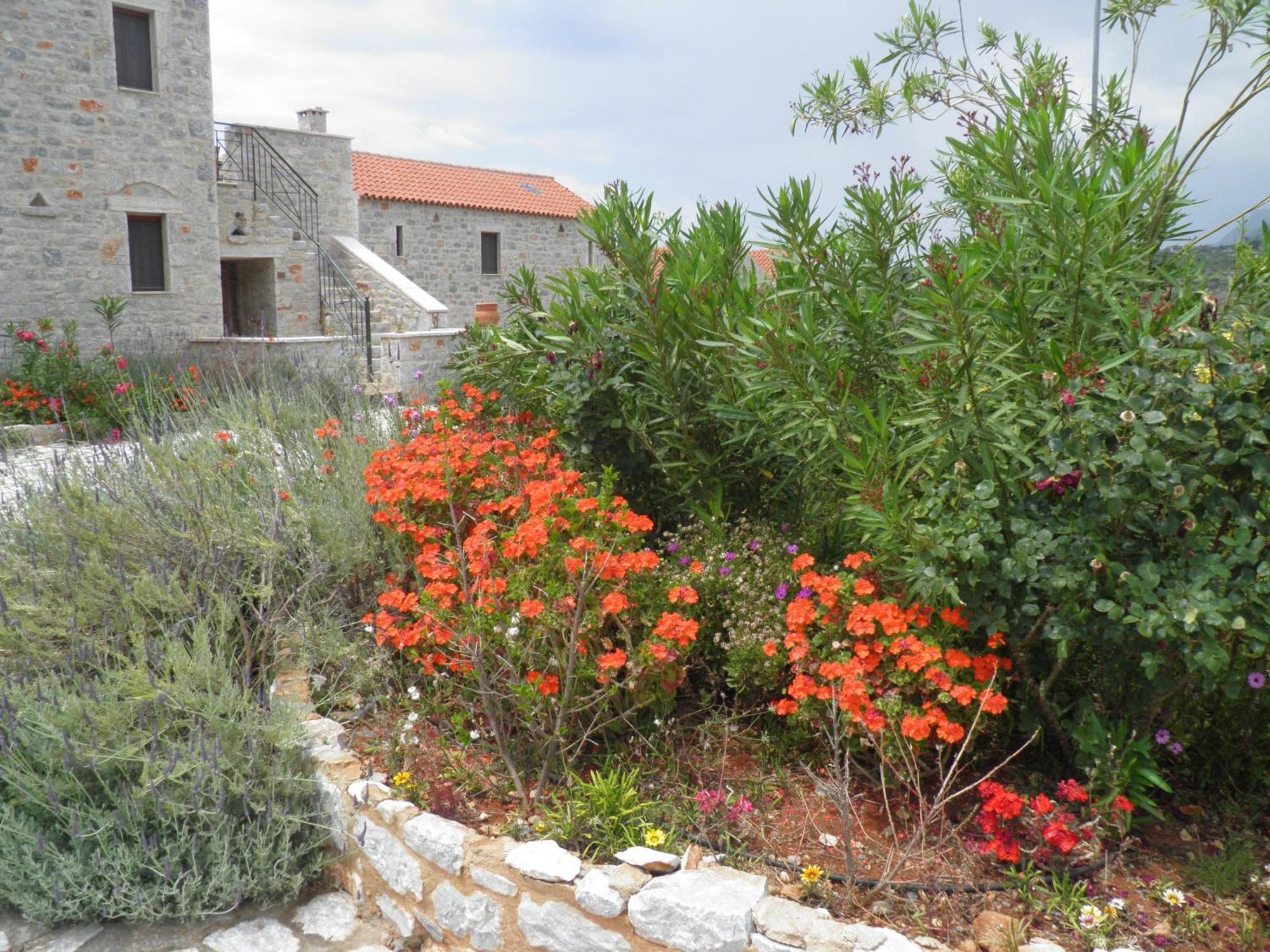 Althea Village Αρεόπολις Εξωτερικό φωτογραφία